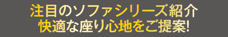 注目のソファシリーズ紹介