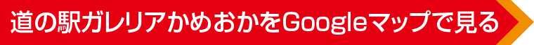 道の駅ガレリアかめおかへのアクセス